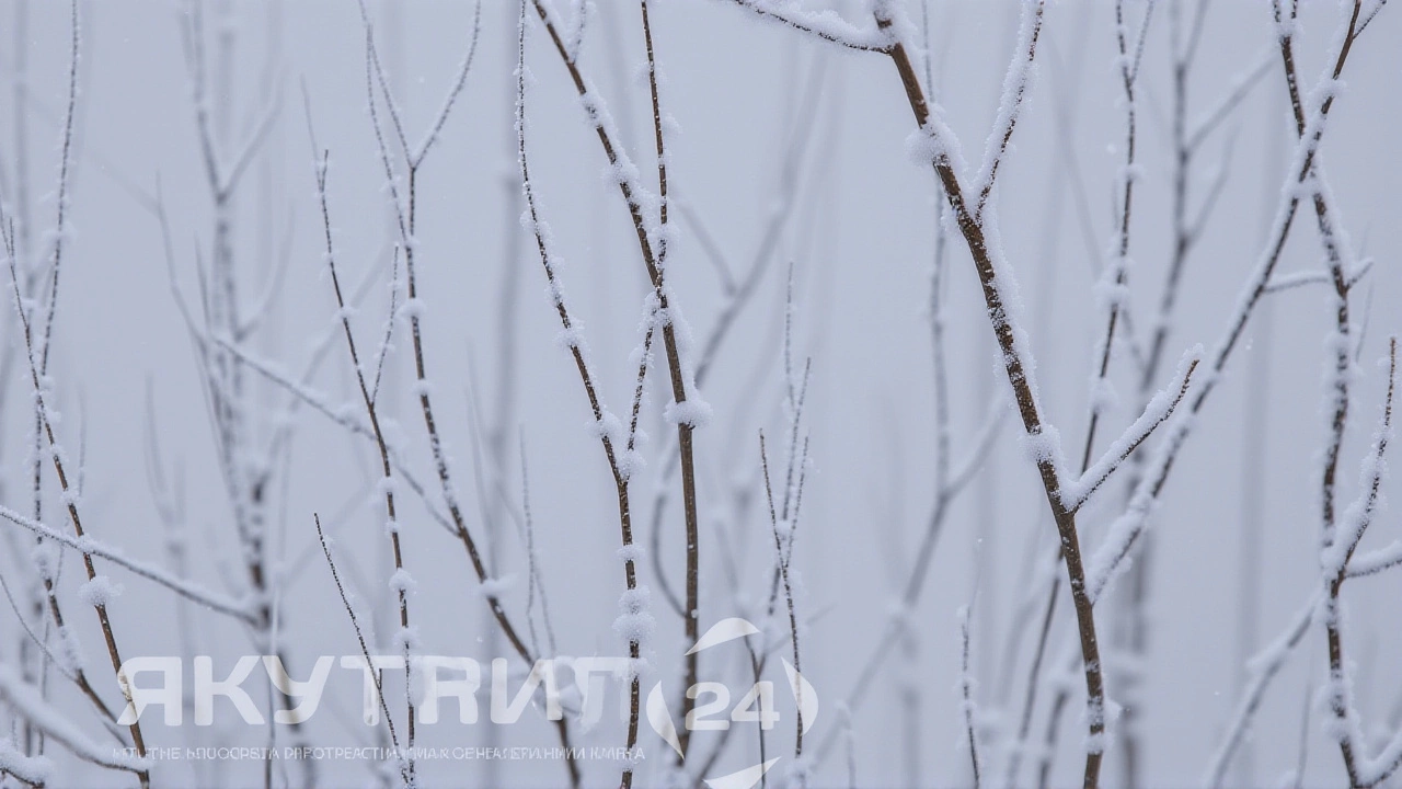 Верхоянск достиг -50°C: Якутия в объятиях экстремального холода 2 декабря 2025